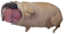 crumpdog emote for Discord