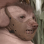 creatureHannibal emote for Discord