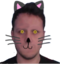 CrazymadCat emote for Discord
