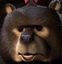 CringeBear emote for Discord