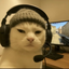 ctcat emote for Discord