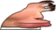CumChamp emote for Discord