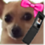cuteAWKLO emote for Discord