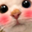 CUTECATLOOKSATYOU emote for Discord