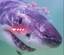 cuteshark emote for Discord