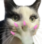 cuntybachgasping emote for Discord