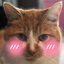 cupBlush emote for Discord