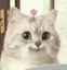 CuteCatSmile emote for Discord