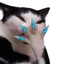 cuntycatgiggling emote for Discord