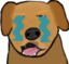 cursedDog emote for Discord