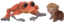 cuthbertbert emote for Discord