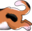 cuteamLongCat3 emote for Discord
