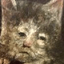 CursedCatDry emote for Discord