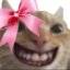 cutefiskir emote for Discord
