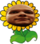 Cuckflower emote for Discord