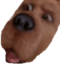 cmonScoob emote for Discord