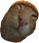 cmonBuh emote for Discord