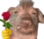 creatureRose emote for Discord