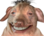 creatureHappy emote for Discord