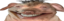 creatureSmile emote for Discord
