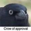 CrowOfApproval emote for Discord