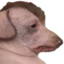 creatureSad emote for Discord