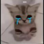 cryCat emote for Discord
