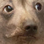 creatureConcerned emote for Discord