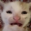 Cryingcat emote for Discord