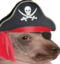 creaturePirate emote for Discord
