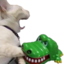 crocChomp emote for Discord