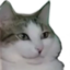 cruCHONK emote for Discord