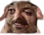 creatureE emote for Discord