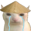 CrynaCat emote for Discord
