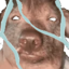 CreatureNOW emote for Discord