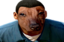 creatureFranklin emote for Discord
