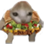 crunchwrapsupremecat emote for Discord
