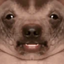 creatureUhhhm emote for Discord