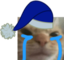 cryinInTheBedgeRn emote for Discord