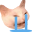 Crie emote for Discord