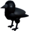 Crowc emote for Discord