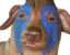 creatureBraveheart emote for Discord