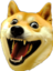 CrazyDoge emote for Discord