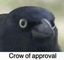 crowNODDERS emote for Discord