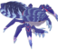 CRAB emote for Discord