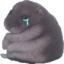 cryHam emote for Discord