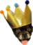 crowndog emote for Discord