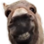 DnkSmile emote for Discord