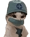 DrCat static emote for Discord, Twitch and Slack