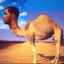 Drake emote for Discord